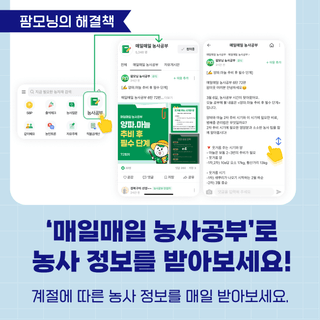 팜모닝님의 팜모닝공식 · 공지 작성글 사진