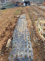 팜모닝 자유주제·자유게시판 게시글 이미지