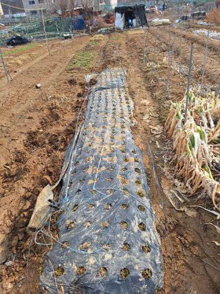 코알라님의 자유주제 · 자유게시판 작성글 사진