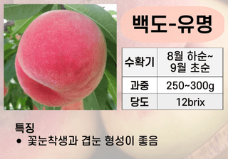 우리농원님의 자유주제 · 자유게시판 작성글 사진