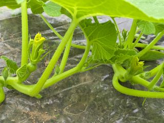 빛그린 김용화님의 자유주제 · 자유게시판 작성글 사진