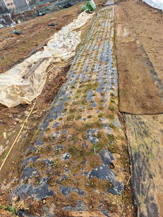 코알라님의 자유주제 · 자유게시판 작성글 사진