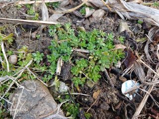 금동이네님의 자유주제 · 자유게시판 작성글 사진