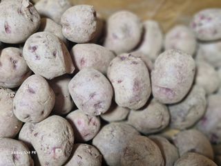 ♡5도2촌pys♡님의 자유주제 · 자유게시판 작성글 사진