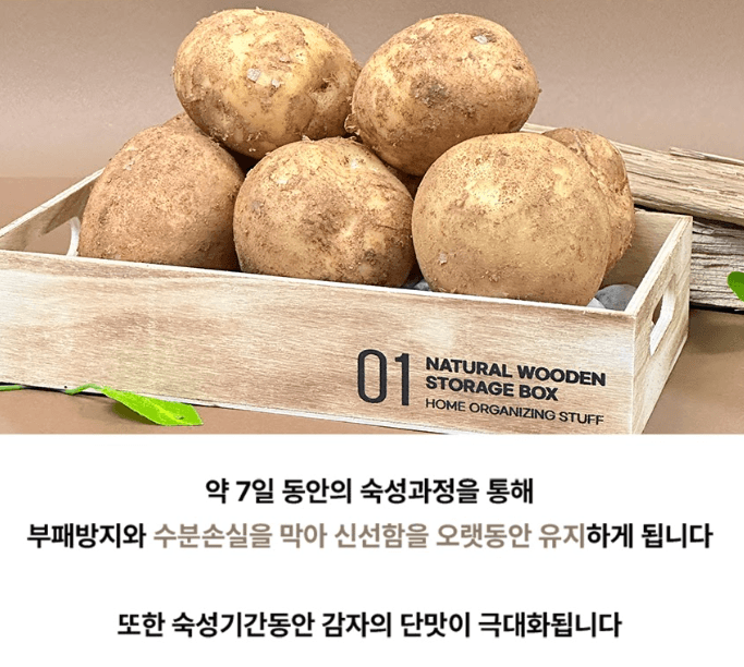 스피드번님의 장터 판매 상품 [25년 하우스 햇감자] 첨부 사진