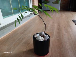 금동이네님의 자유주제 · 자유게시판 작성글 사진