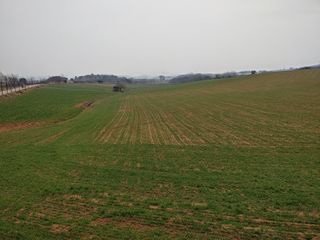 이현상님의 자유주제 · 자유게시판 작성글 사진