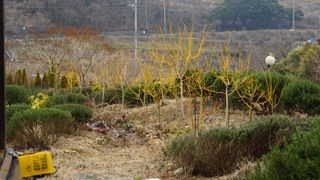 정미리님의 자유주제 · 자유게시판 작성글 사진