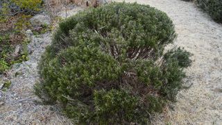 정미리님의 자유주제 · 자유게시판 작성글 사진