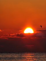 팜모닝 · 게시글 이미지