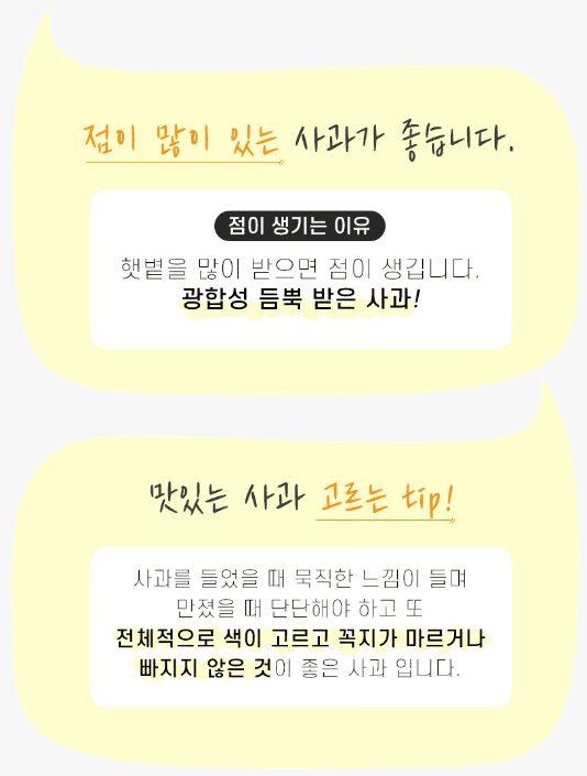 스피드번님의 장터 판매 상품 [(실속형 흠과) 황금시나노골드 사과 (일반포장)] 첨부 사진