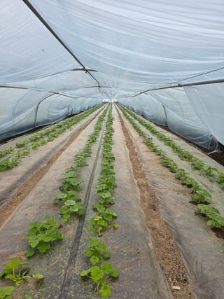 빛그린 김용화님의 자유주제 · 자유게시판 작성글 사진