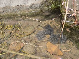 워람농장ㆍ황일택ㆍ님의 자유주제 · 자유게시판 작성글 사진