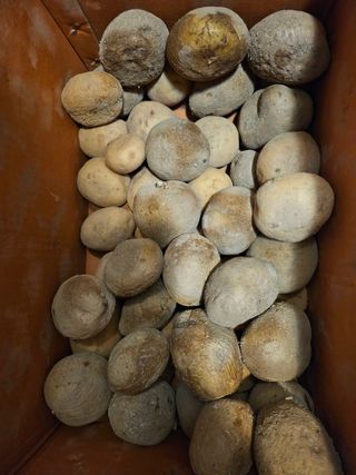 김강호님의 자유주제 · 건의해요 작성글 사진