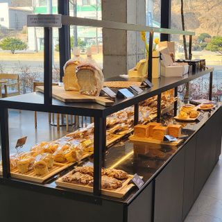 양지모종님의 자유주제 · 자유게시판 작성글 사진