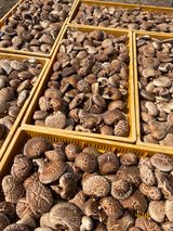 팜모닝 자유주제·자유게시판 게시글 이미지