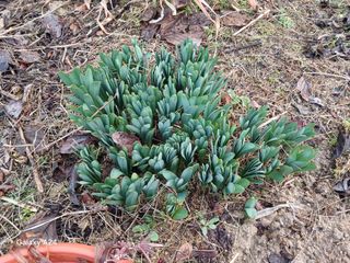 금동이네님의 자유주제 · 자유게시판 작성글 사진