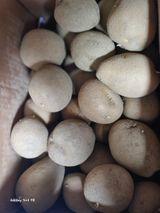 팜모닝 자유주제·자유게시판 게시글 이미지