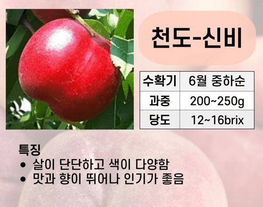 장터 상품 [복숭아 묘목 신비, 하홍, 유명, 홍백 판매] 썸네일