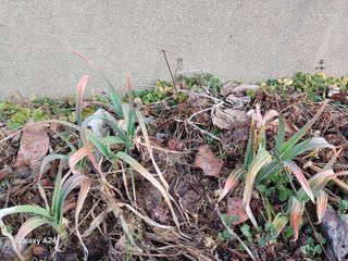 금동이네님의 자유주제 · 자유게시판 작성글 사진