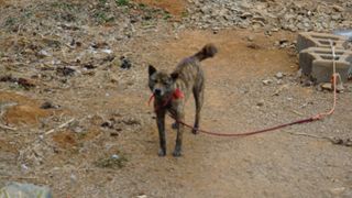 정미리님의 자유주제 · 자유게시판 작성글 사진