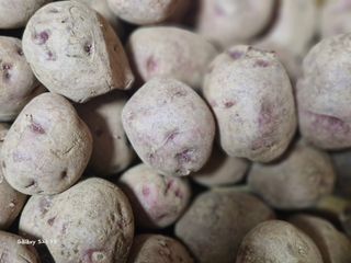 ♡5도2촌pys♡님의 자유주제 · 자유게시판 작성글 사진