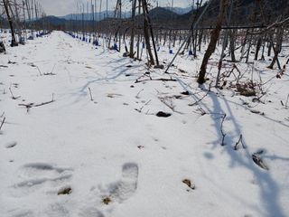 알 수 없음님의 자유주제 · 자유게시판 작성글 사진
