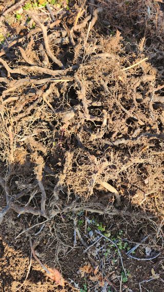 덕포킴님의 자유주제 · 자유게시판 작성글 사진