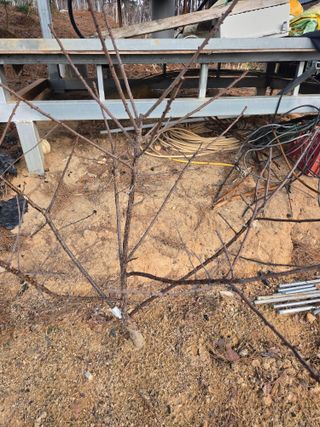 자연인님의 자유주제 · 자유게시판 작성글 사진