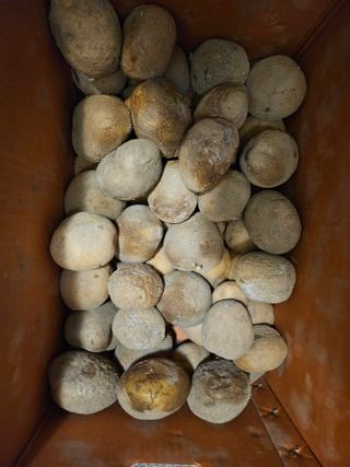 김강호님의 자유주제 · 건의해요 작성글 사진