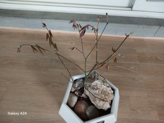 금동이네님의 자유주제 · 자유게시판 작성글 사진