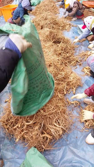 피롤땅지기님의 작성글 사진