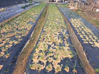 전남무안군박옥주님의 자유주제 · 자유게시판 작성글 사진