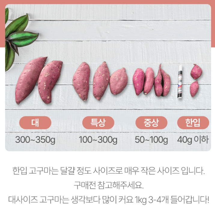 스피드번님의 장터 판매 상품 [여주 꿀고구마] 첨부 사진