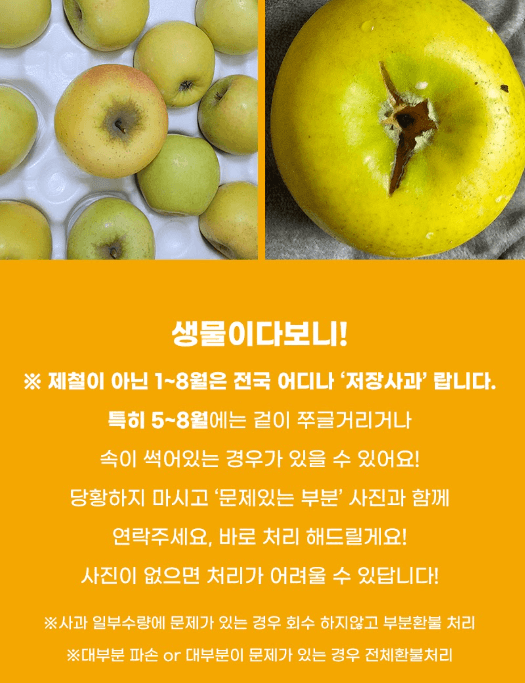스피드번님의 장터 판매 상품 [(실속형 흠과) 황금시나노골드 사과 (일반포장)] 첨부 사진