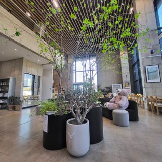 양지모종님의 자유주제 · 자유게시판 작성글 사진