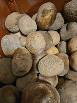 팜모닝 자유주제·건의해요 게시글 이미지