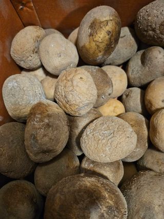 김강호님의 자유주제 · 건의해요 작성글 사진