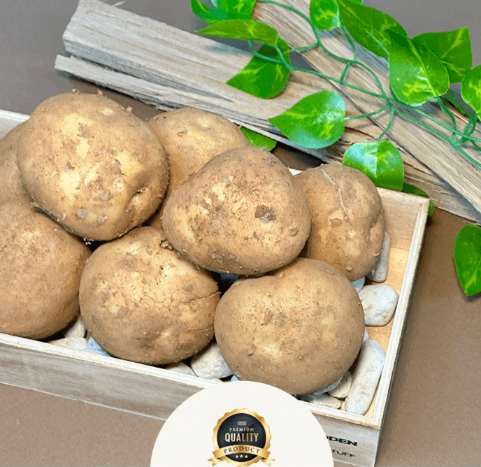 스피드번님의 장터 판매 상품 [25년 하우스 햇감자] 첨부 사진