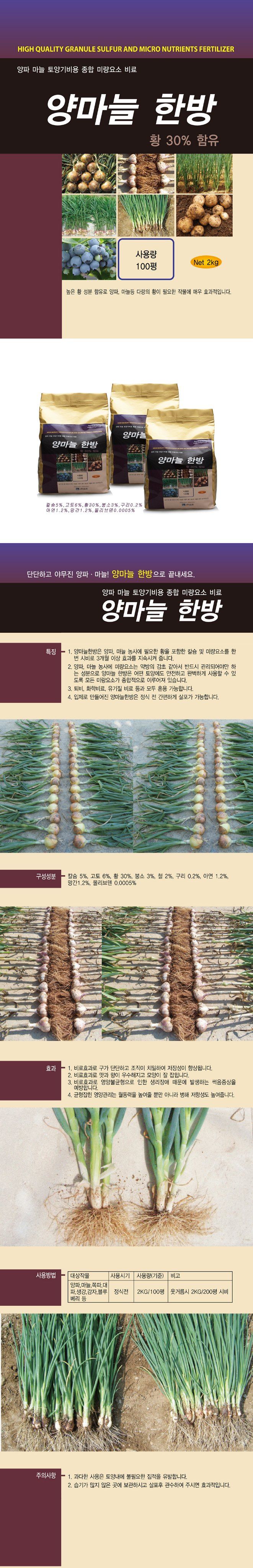 식물보호닷컴님의 장터 판매 상품 [양마늘한방 2kg 양파 마늘 유황비료] 첨부 사진