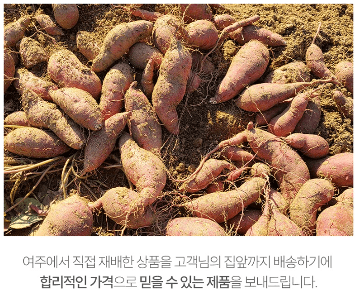 스피드번님의 장터 판매 상품 [여주 꿀고구마] 첨부 사진