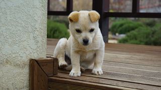 정미리님의 자유주제 · 자유게시판 작성글 사진