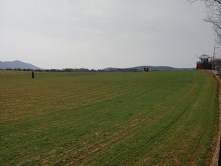 이현상님의 자유주제 · 자유게시판 작성글 사진