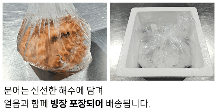 스피드번님의 장터 판매 상품 [국내산 돌문어] 첨부 사진