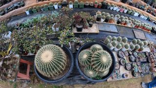 정미리님의 자유주제 · 자유게시판 작성글 사진