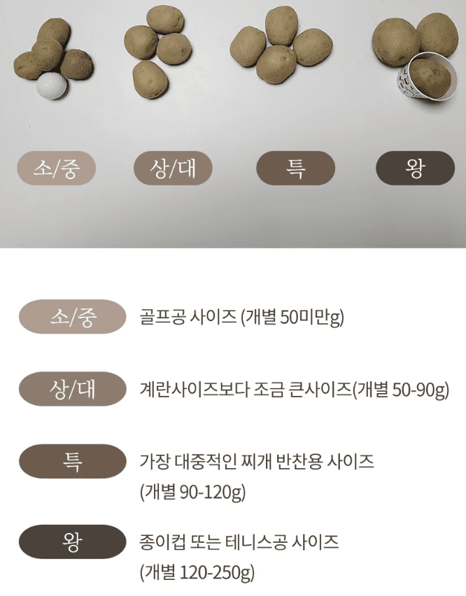 스피드번님의 장터 판매 상품 [25년 하우스 햇감자] 첨부 사진