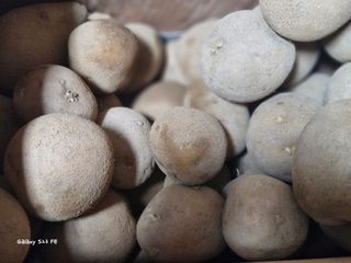 ♡5도2촌pys♡님의 자유주제 · 자유게시판 작성글 사진