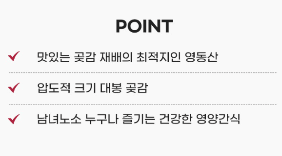 스피드번님의 장터 판매 상품 [영동 곶감 선물세트] 첨부 사진