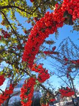 팜모닝 자유주제·자유게시판 게시글 이미지