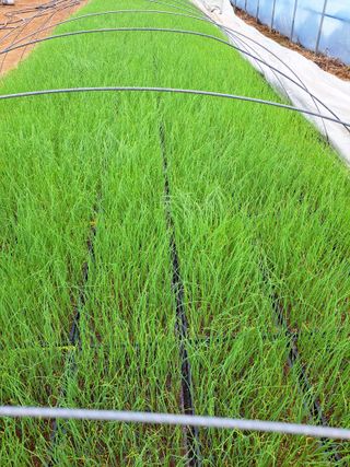 좋은인연원님의 자유주제 · 자유게시판 작성글 사진